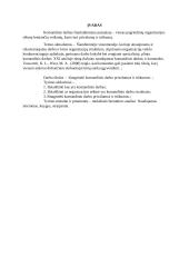 Komandinio darbo privalumai ir trūkumai atvejo analizė 2 puslapis