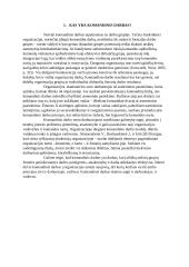 Komandinio darbo privalumai ir trūkumai atvejo analizė 3 puslapis