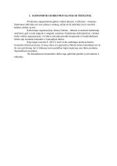 Komandinio darbo privalumai ir trūkumai atvejo analizė 5 puslapis