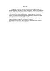 Komandinio darbo privalumai ir trūkumai atvejo analizė 9 puslapis