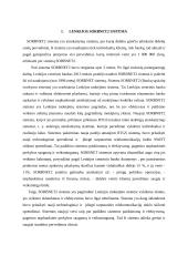 SORBNET2 sistema ir jos principai 2 puslapis