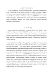 SORBNET2 sistema ir jos principai 4 puslapis