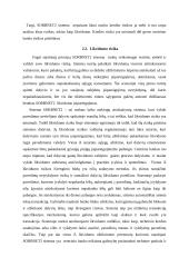 SORBNET2 sistema ir jos principai 5 puslapis