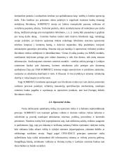 SORBNET2 sistema ir jos principai 6 puslapis