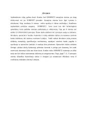 SORBNET2 sistema ir jos principai 8 puslapis