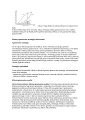 Išsamus pasiruošimas logistikos egzaminui 13 puslapis