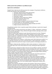 Išsamus pasiruošimas logistikos egzaminui 17 puslapis