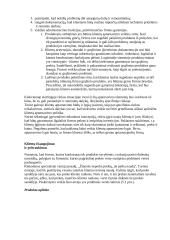 Išsamus pasiruošimas logistikos egzaminui 4 puslapis