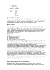 Išsamus pasiruošimas logistikos egzaminui 5 puslapis