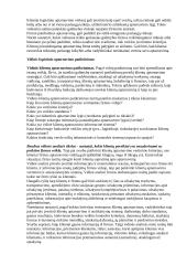 Išsamus pasiruošimas logistikos egzaminui 8 puslapis