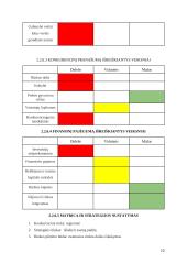 Įmonės „Vilkiškių pieninė“ rinkodarinės situacijos analizė 10 puslapis