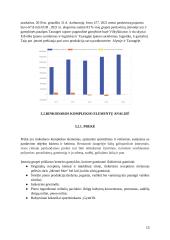 Įmonės „Vilkiškių pieninė“ rinkodarinės situacijos analizė 13 puslapis