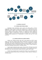 Įmonės „Vilkiškių pieninė“ rinkodarinės situacijos analizė 4 puslapis