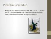 Botnijos įlanka 5 puslapis