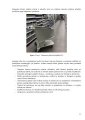 Išmanusis pirkinių krepšelis. Gaminio estetika 10 puslapis