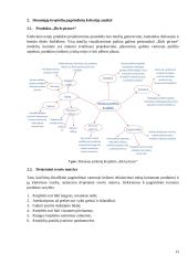 Išmanusis pirkinių krepšelis. Gaminio estetika 11 puslapis