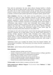 Išmanusis pirkinių krepšelis. Gaminio estetika 4 puslapis