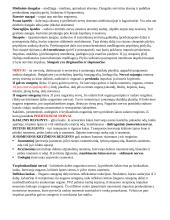 Nervų sistema (konspektas) 2 puslapis