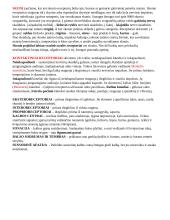 Nervų sistema (konspektas) 6 puslapis