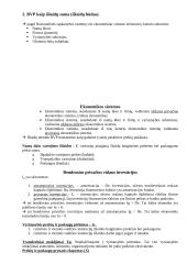 Nacionalinis produktas ir pajamos 2 puslapis