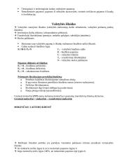 Nacionalinis produktas ir pajamos 15 puslapis