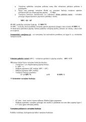 Nacionalinis produktas ir pajamos 7 puslapis