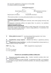 Nacionalinis produktas ir pajamos 10 puslapis