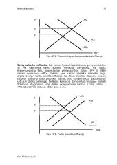 Makroekonomika ir ekonominės sistemos 13 puslapis