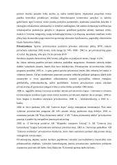 Makroekonominiai pokyčiai Lietuvoje 1991-2004 metais 11 puslapis