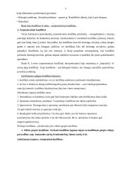 Konfliktų sprendimo būdai organizacijos lygmenyje 13 puslapis