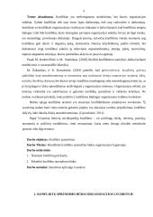 Konfliktų sprendimo būdai organizacijos lygmenyje 2 puslapis