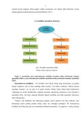 Konfliktų sprendimo būdai organizacijos lygmenyje 6 puslapis