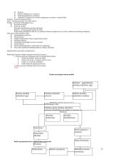 Marketingas teorija 13 puslapis