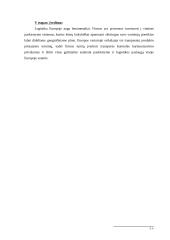 Marketingo strategijų palyginimas 11 puslapis