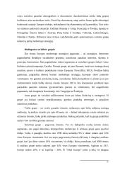 Marketingo strategijų palyginimas 3 puslapis