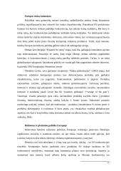 Marketingo strategijų palyginimas 6 puslapis