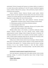 Marketingo strategijų palyginimas 7 puslapis