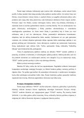 Marketingo strategijų palyginimas 8 puslapis