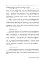 Marketingo strategijų palyginimas 10 puslapis