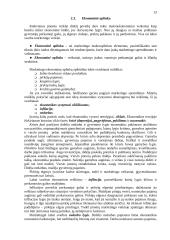 Marketingas: paskaitų konspektas 13 puslapis