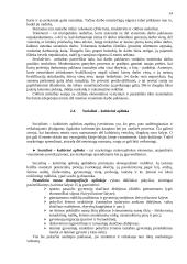 Marketingas: paskaitų konspektas 14 puslapis