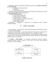 Marketingas: paskaitų konspektas 15 puslapis