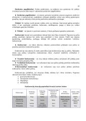Marketingas: paskaitų konspektas 19 puslapis