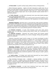 Marketingas: paskaitų konspektas 9 puslapis