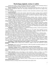 Marketingo prigimtis ir turinys 2 puslapis