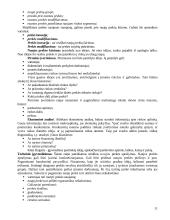 Marketingo prigimtis ir turinys 11 puslapis