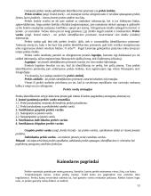 Marketingo prigimtis ir turinys 13 puslapis