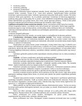 Marketingo prigimtis ir turinys 15 puslapis