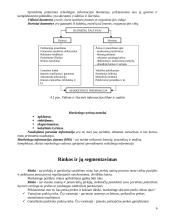 Marketingo prigimtis ir turinys 6 puslapis