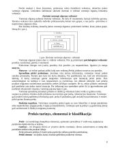 Marketingo prigimtis ir turinys 8 puslapis